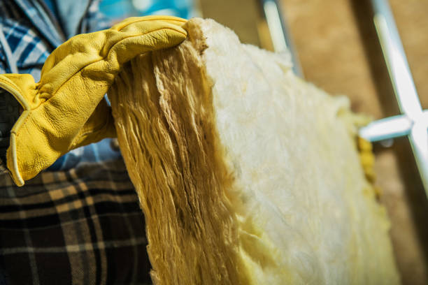 Trusted Westminster, SC Insulation Contractor Experts