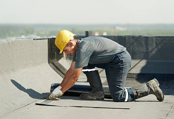 Best Specialized Insulation Services in Westminster, SC